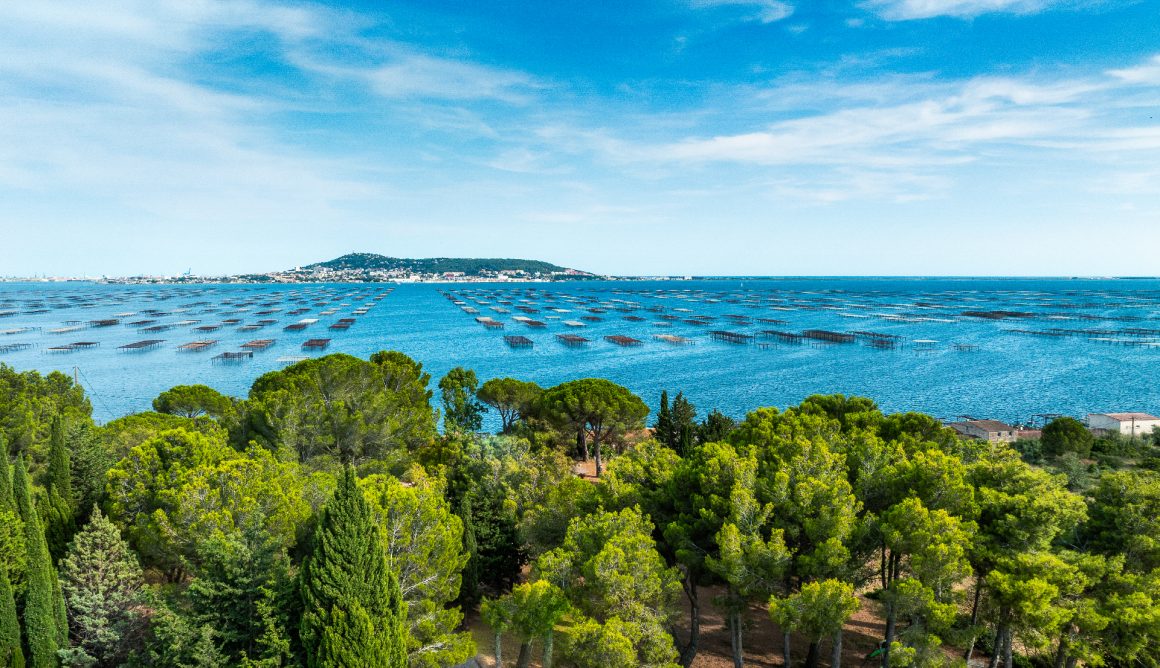 Vue aériennes des parcs à huitres de l'étang de Thau