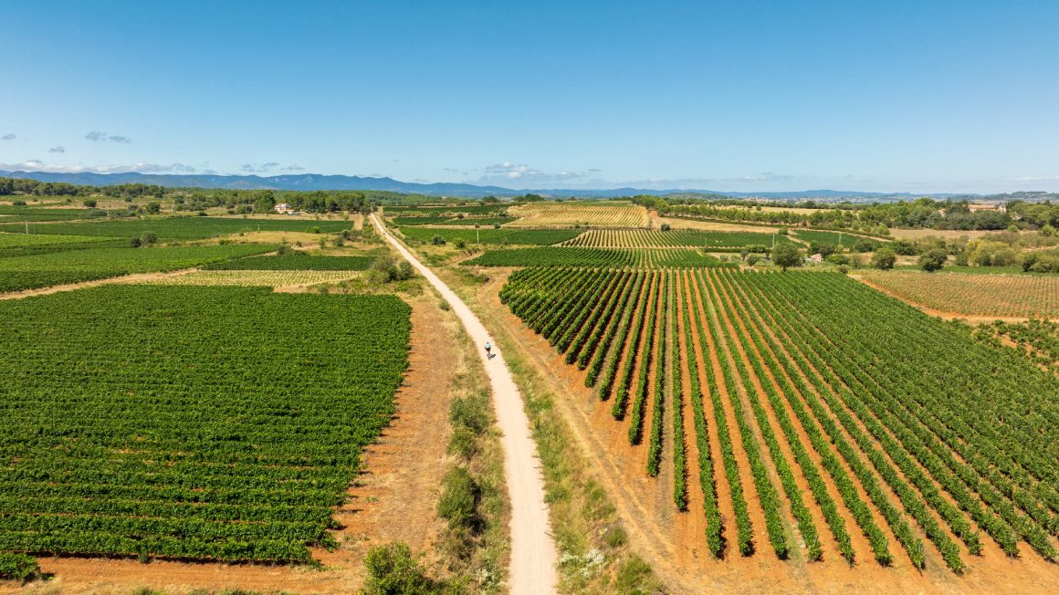 Oenovélo 1 Domaine de Savignac